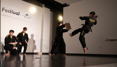 Korean Martial Arts - Tae Kwon Do